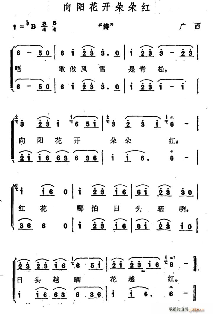 (yng)_(ki)t(ָV)1