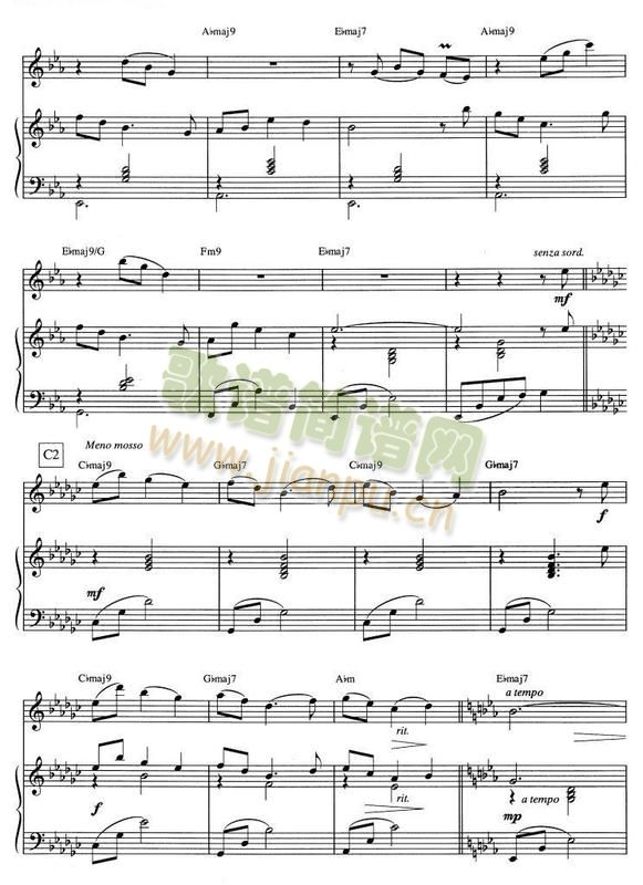PAPILLON(СV)3