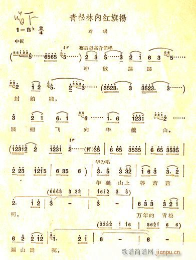 pփȼt(ָV)1