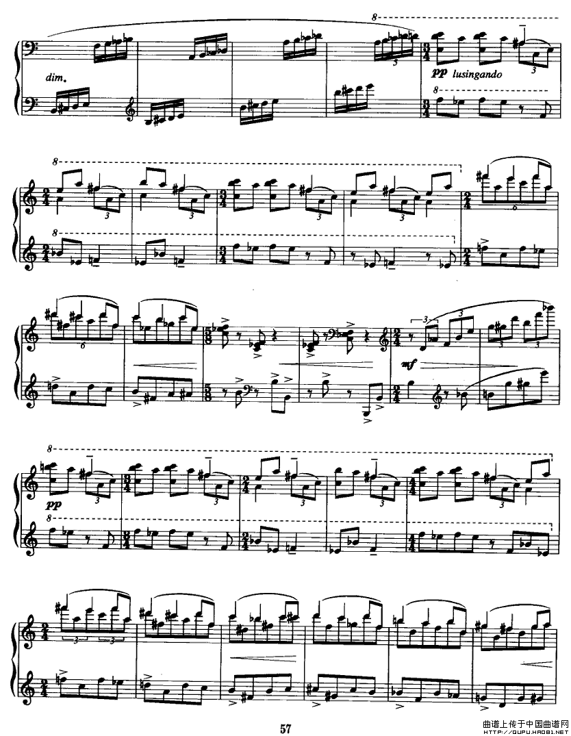 龰P16(V)1