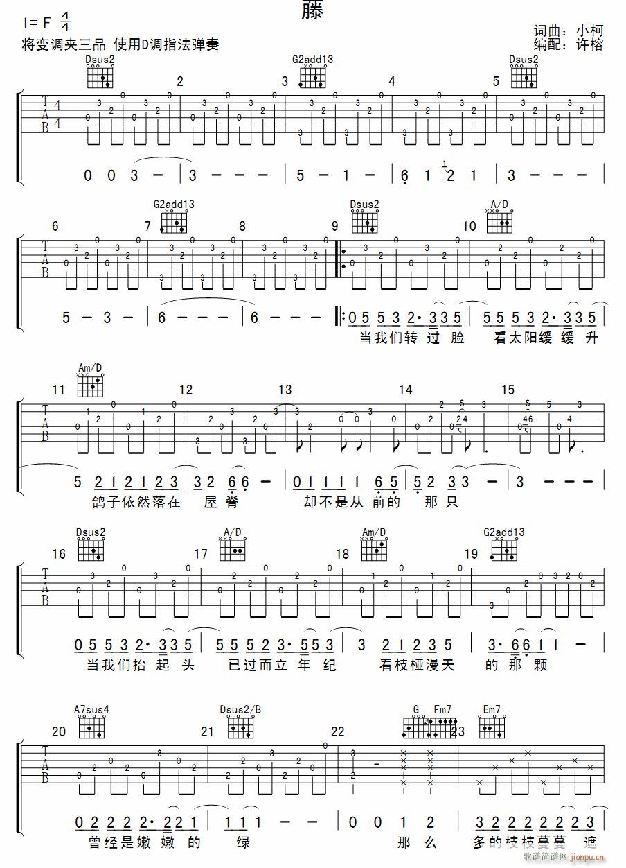  (V)1