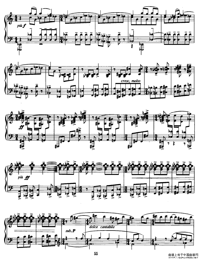 龰P14(V)1