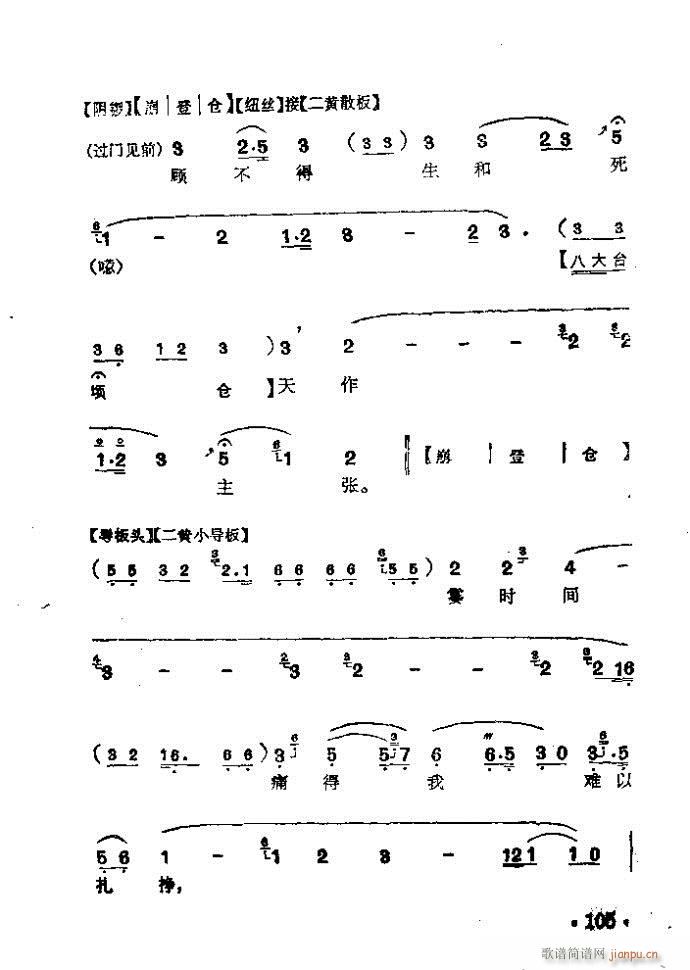  (V)11