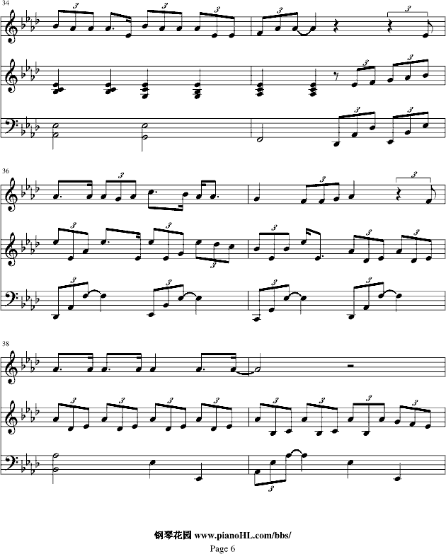 TADDYBEAR(V)6