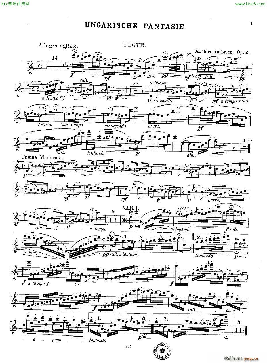 Andersen op 2 Ungarische Fantasie fl pno(V)16
