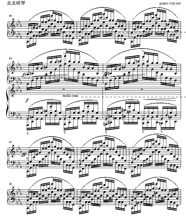 OP25No12(V)5