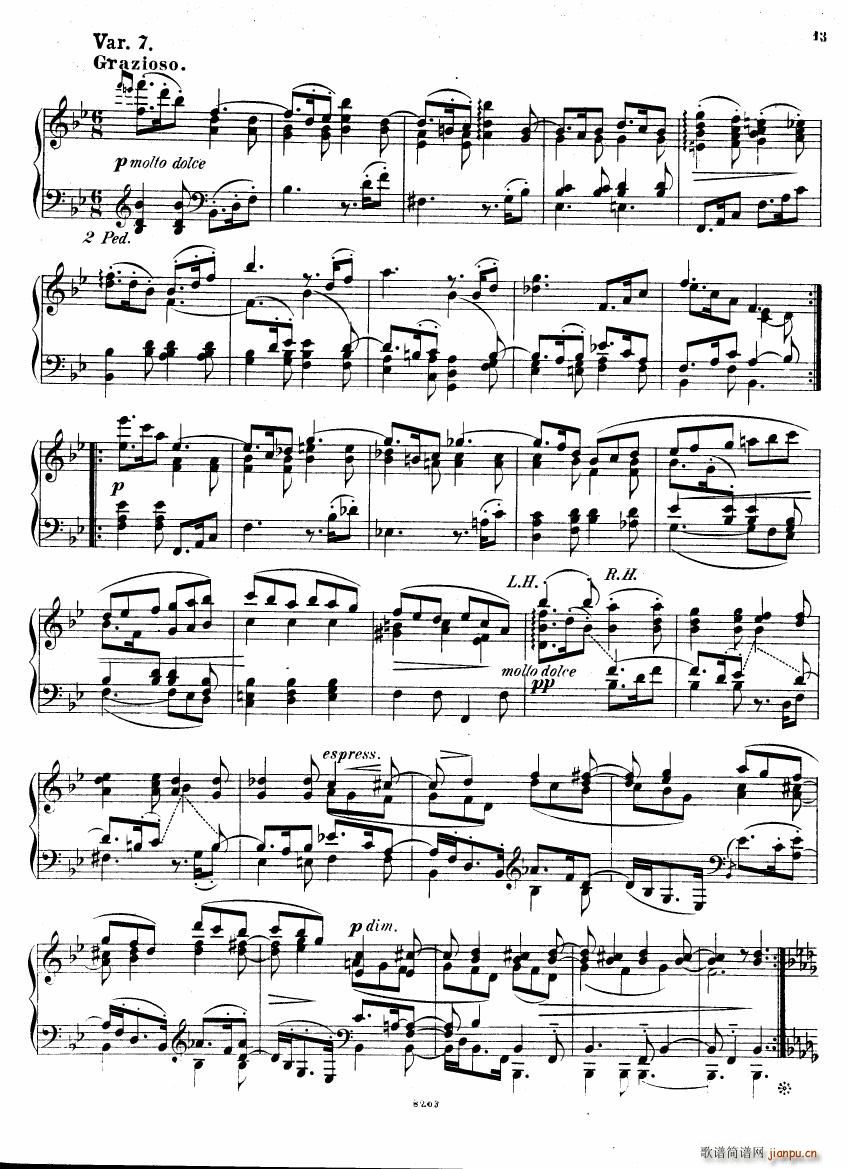 Brahms Stark Haydn Variations pno solo(V)12