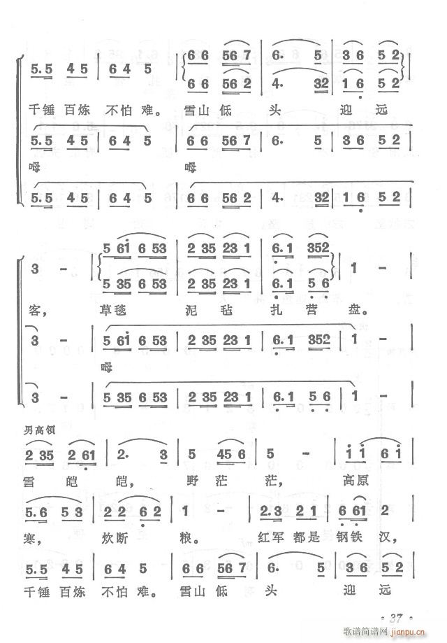 t܊hy  濂V31-65(V)11