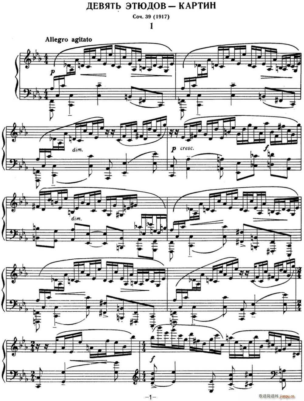 լZ (hu)910 Etudes tableaux Op 39 No 1(V)1