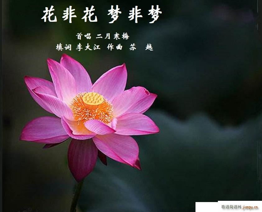 ǻ(mng)ǉ(mng) ~(ָV)1
