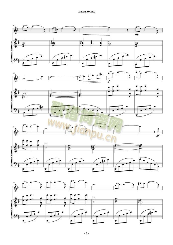 Appassionata(V)3