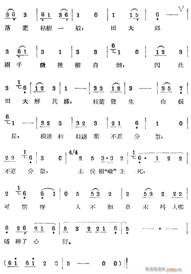 ͥ6(ָV)1