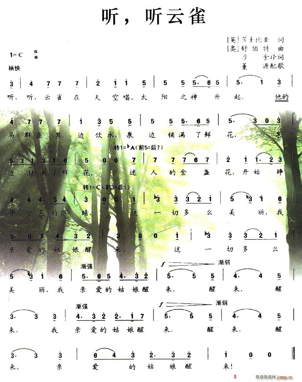  (tng)  (tng)ȸ(ָV)1