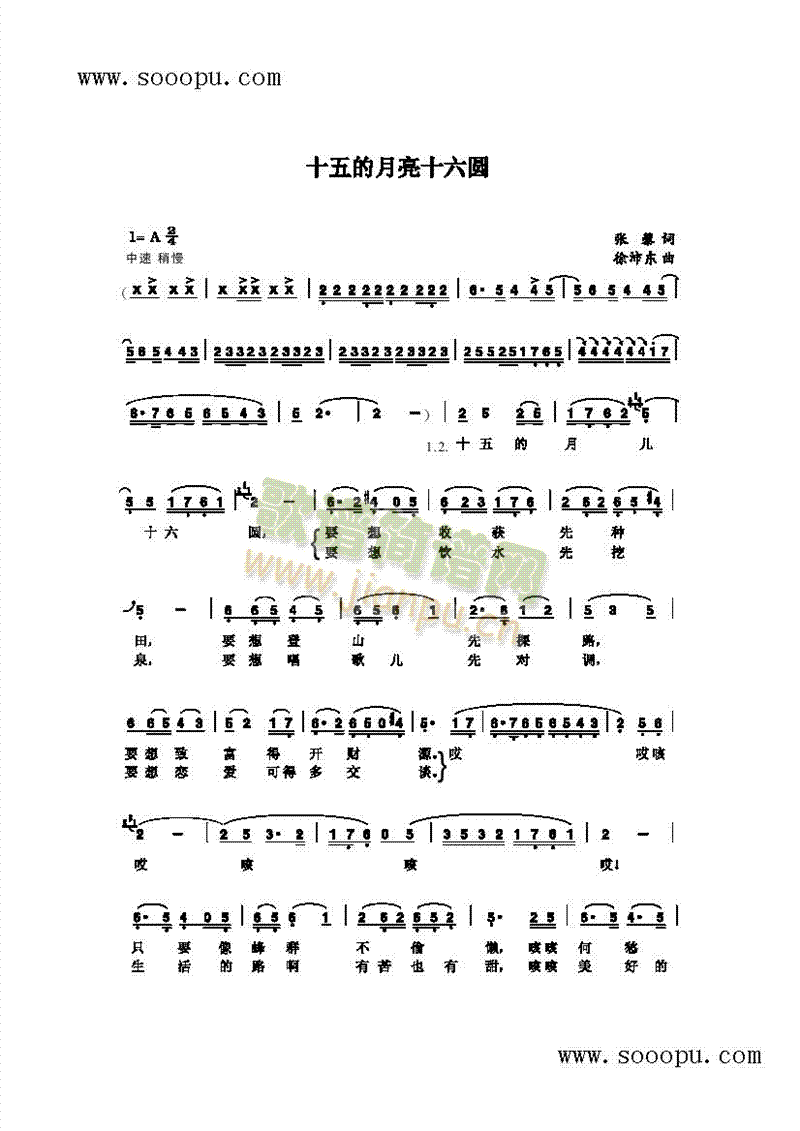 ʮʮA(li)(jin)V((l )V)1