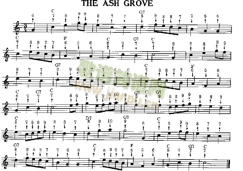 TheAshGroveV((l )V)1