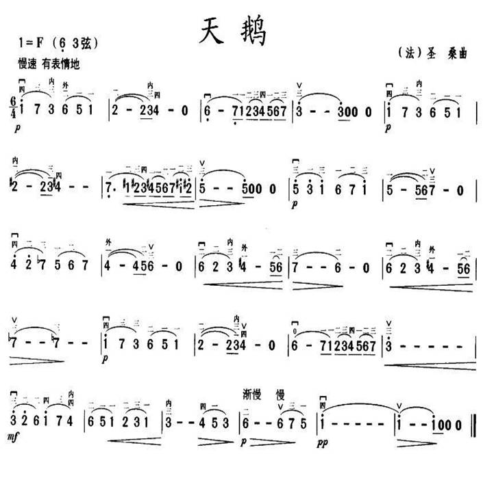 ZV(V)1