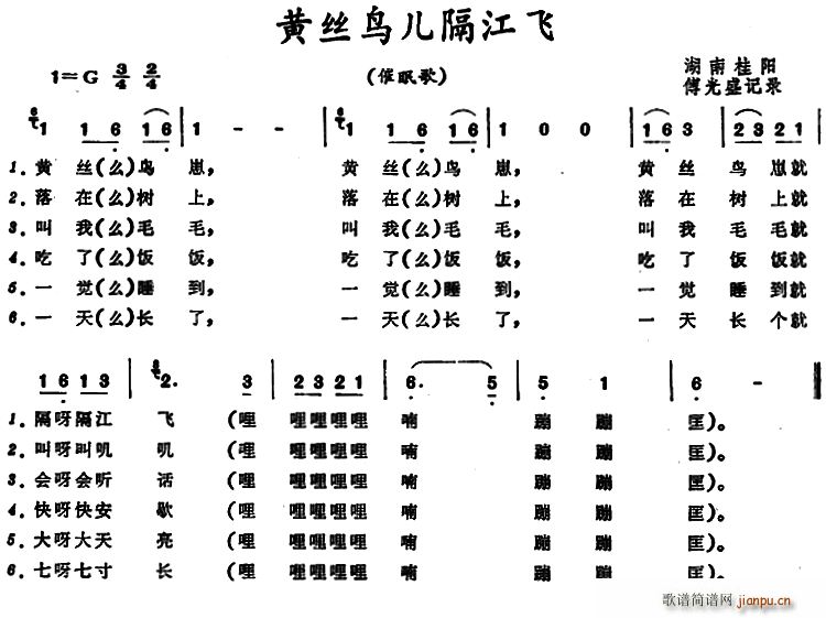 SzB(nio)w(ָV)1