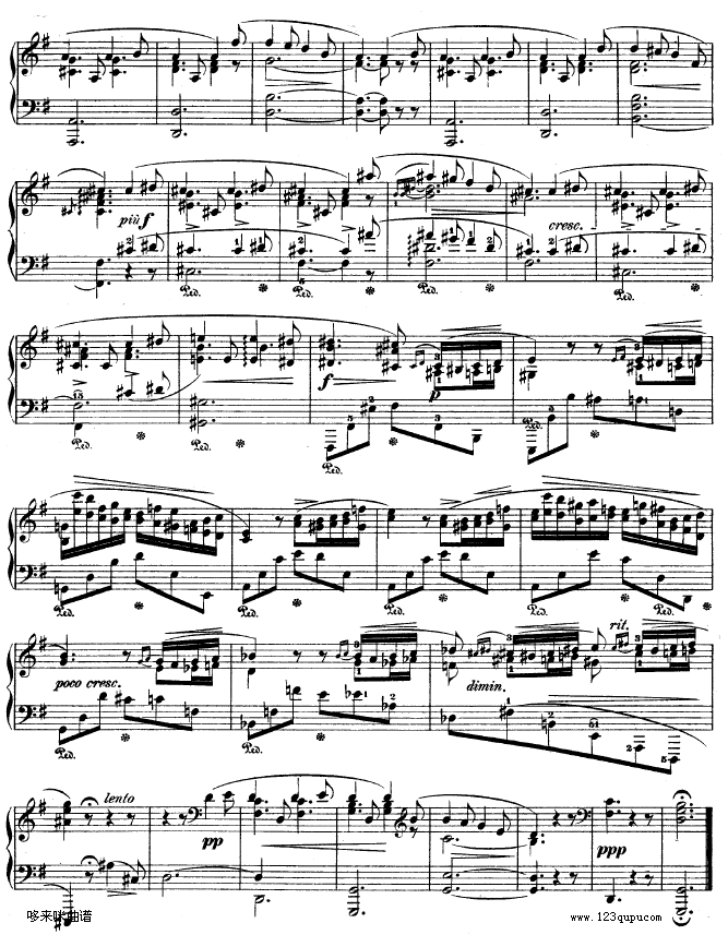 G{ҹƷ37̖NO.2-Ф(V)5