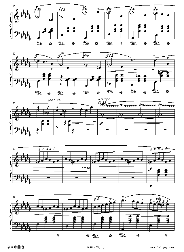 СȮA-Ф(V)3