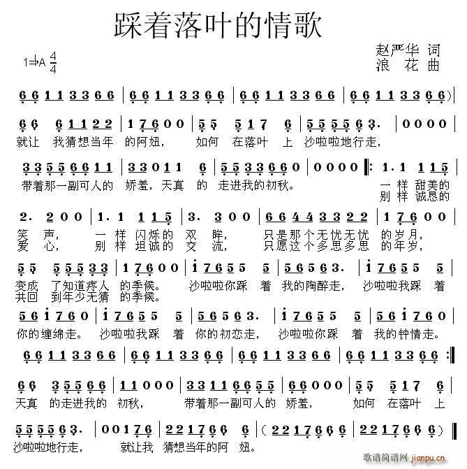 (zh)~(ָV)1