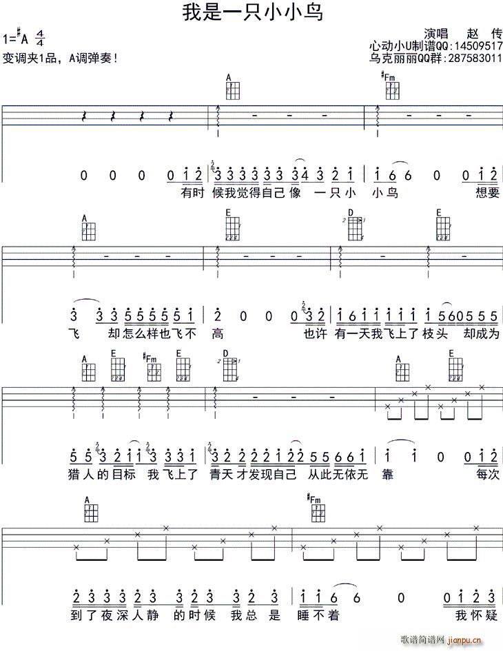 һֻССB(nio) ukulele(ʮּ)1