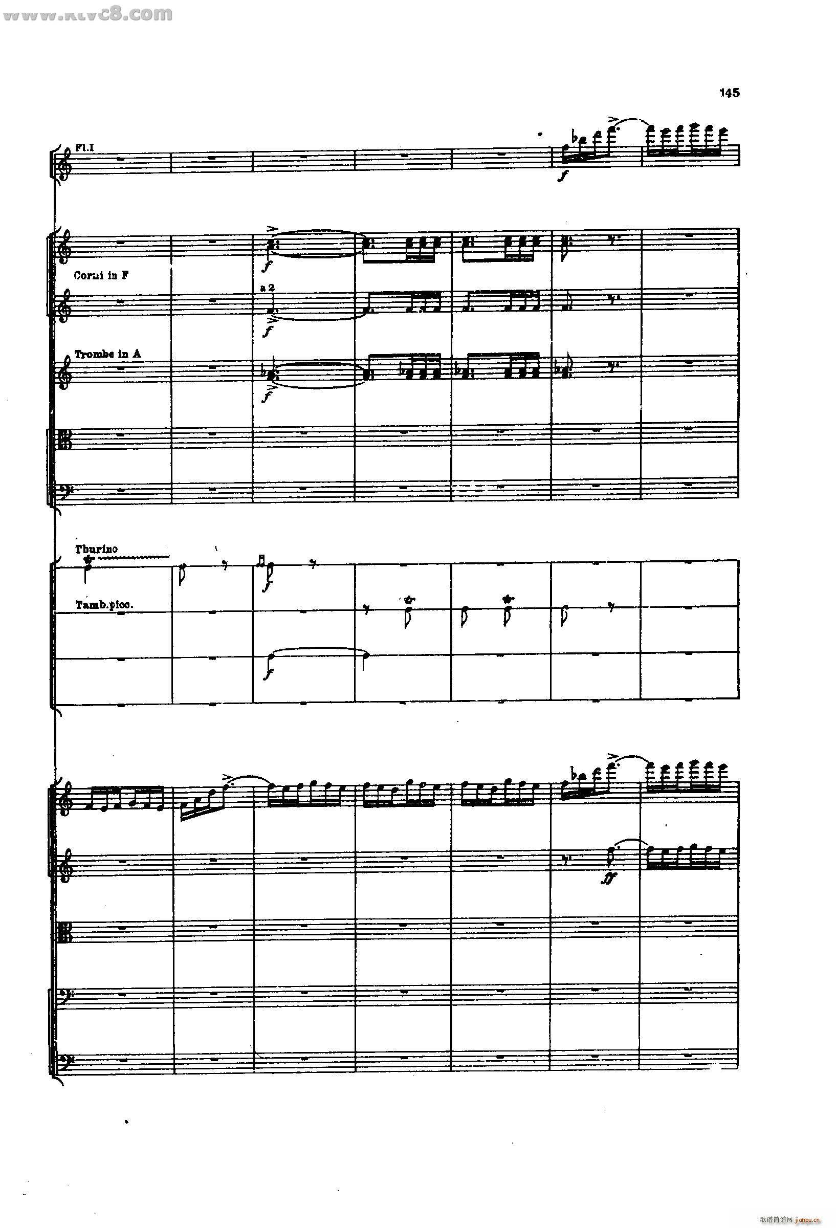 _푽M Ʒ35 (V)51