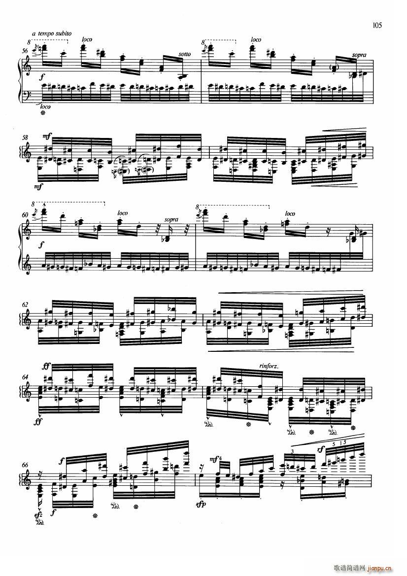 cziffra bumblebee(V)6