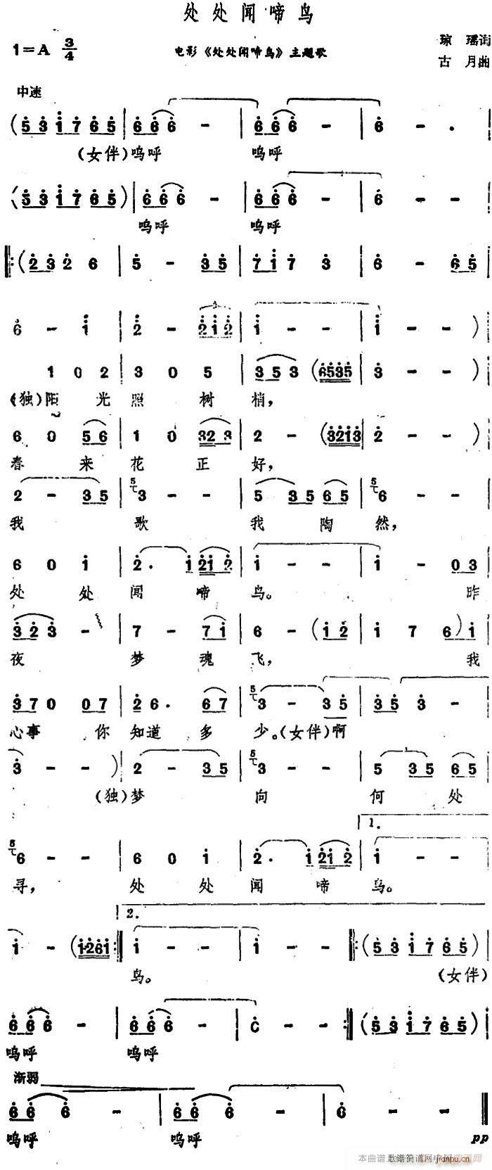 ̎̎B(nio)(ָV)1