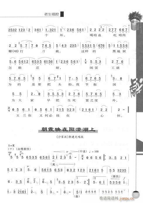 ݋41-60(V)19