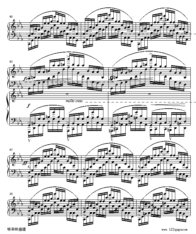 OP25No12-Ф(V)5
