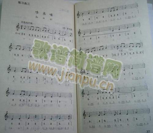 Sعǧ26-33()1