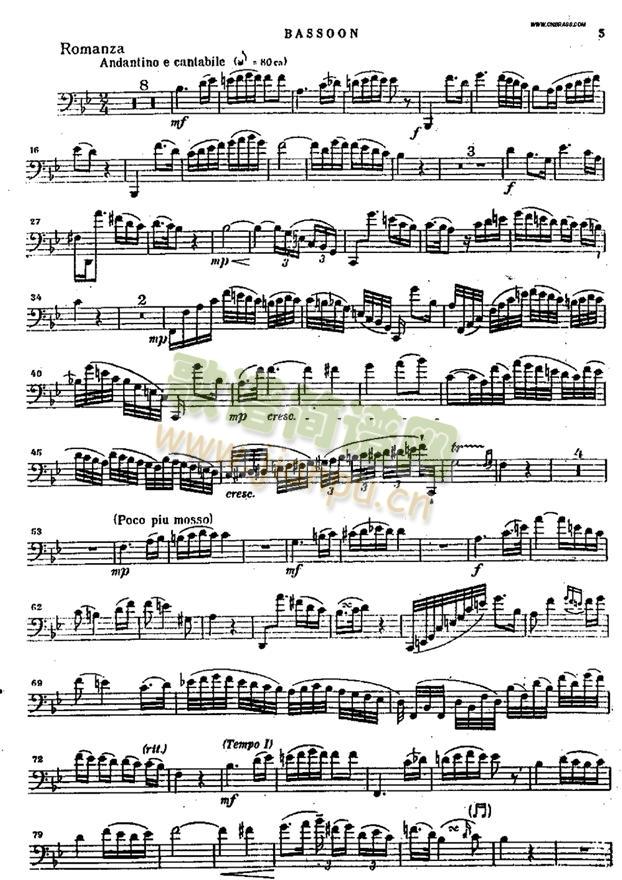 bassoon(V)5