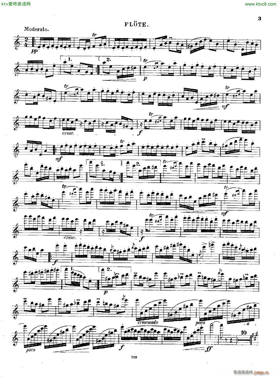 Andersen op 2 Ungarische Fantasie fl pno(V)11