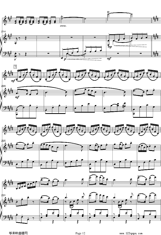 ɽcףӢ_-С/-(V)12
