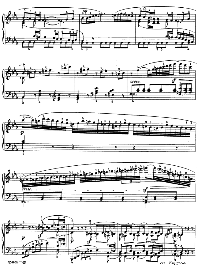 ʮһQ-op.22-ؐ(V)11