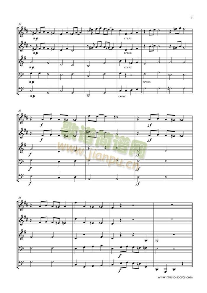 Brassy(V)3