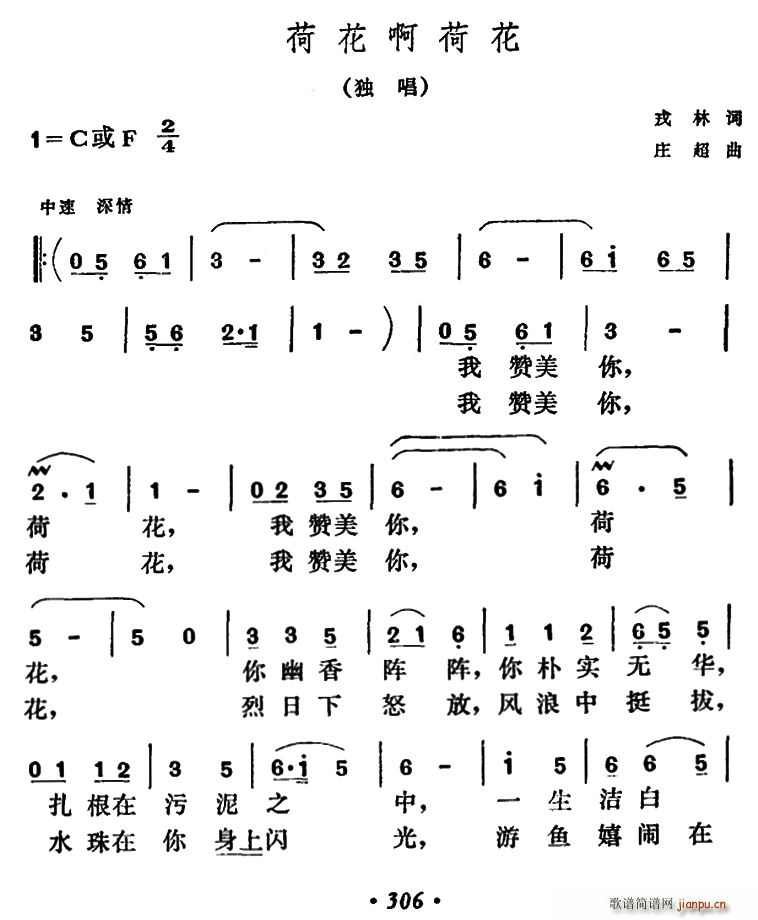 ɻɻ(ָV)1