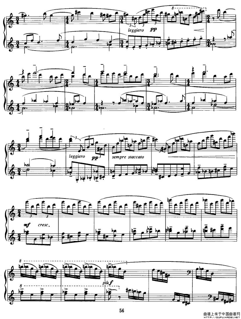 龰P15(V)1