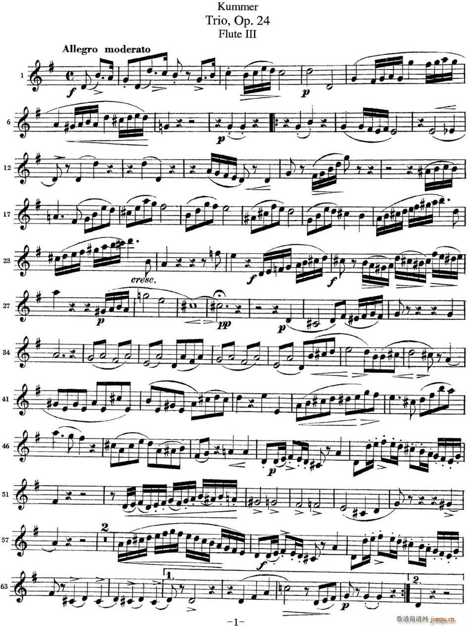 ĬL(chng)Op 24 Flute 3(ѺV)1