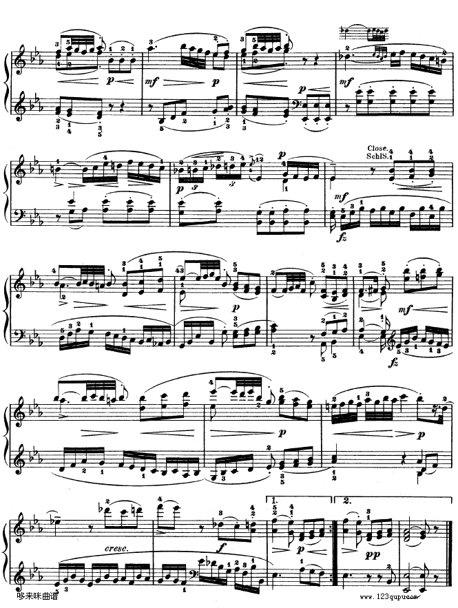 B{Qkv333-Ī(V)12
