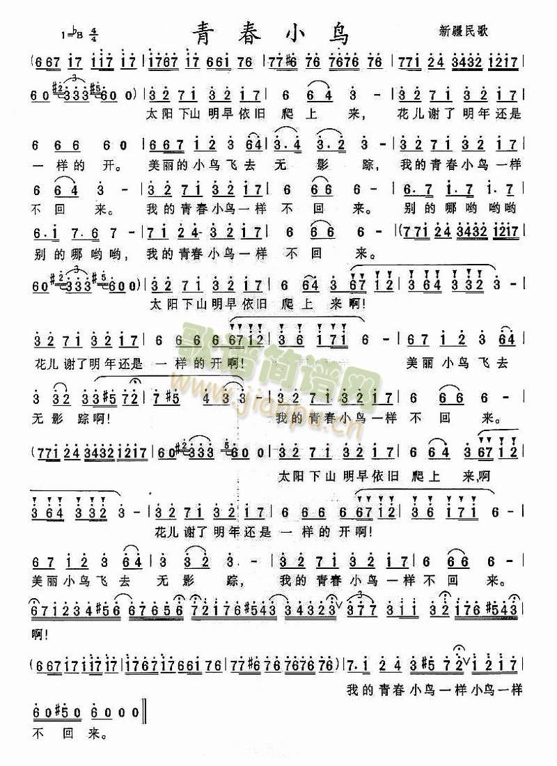 ഺСB(nio)(ָV)1