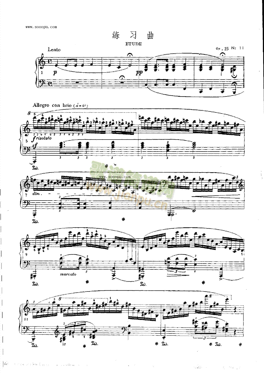 OP.25Nr11IP(pn)(li)((l )V)1