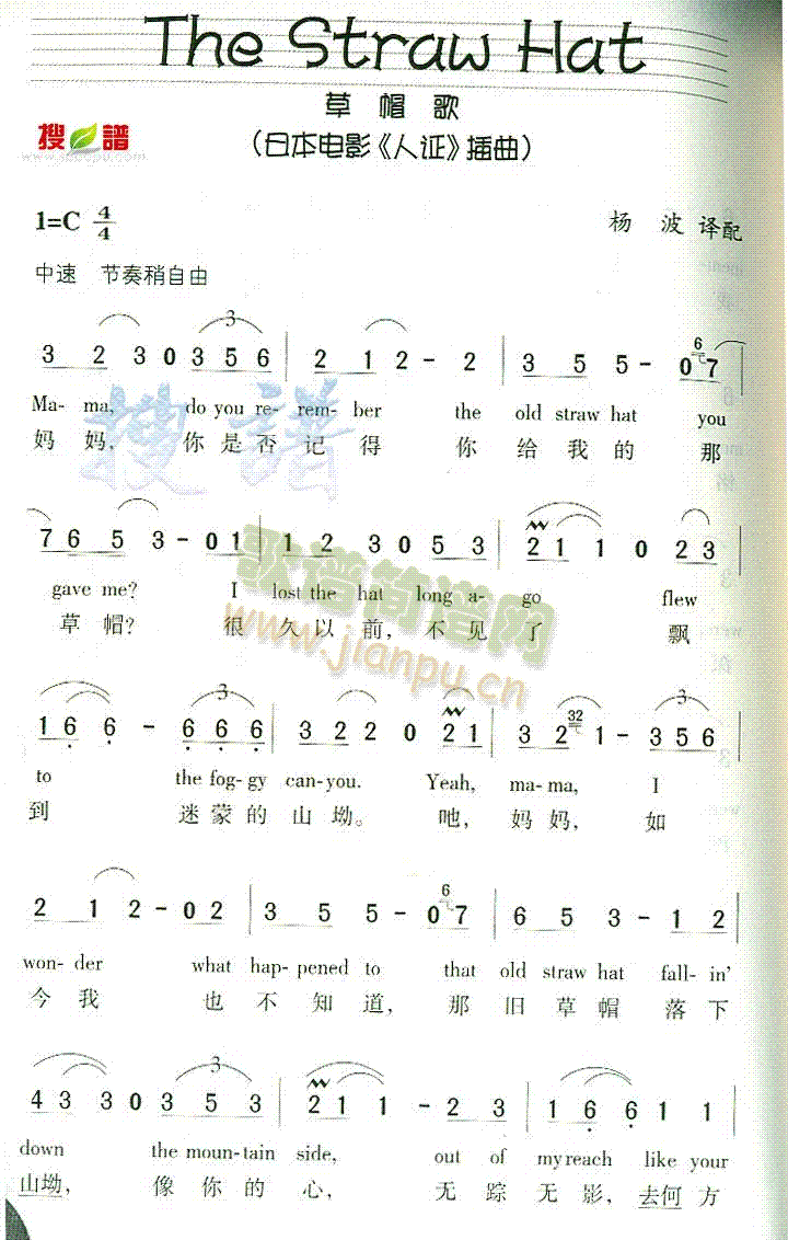 TheStrawHat(ʮּ)1
