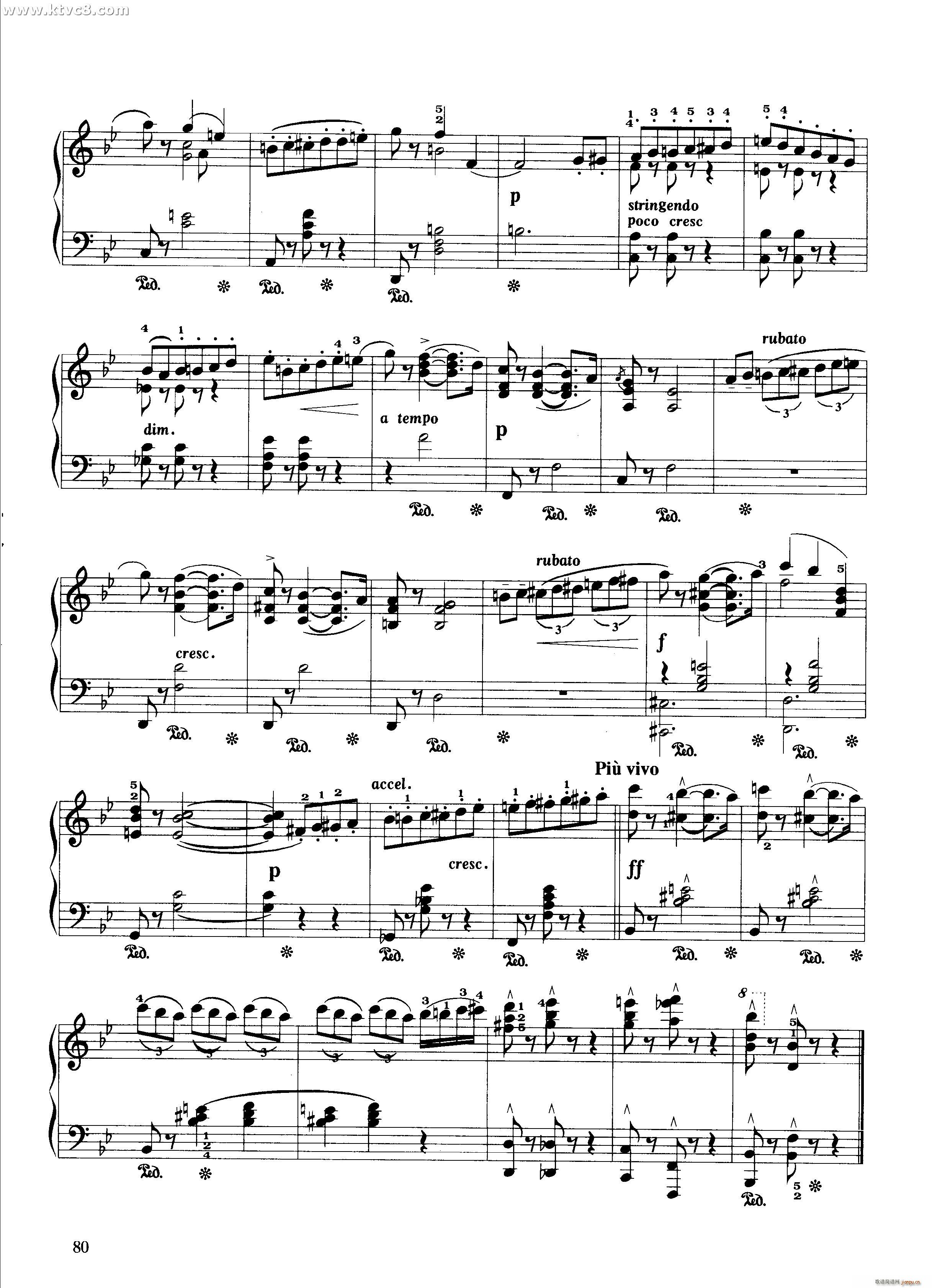 (V)5