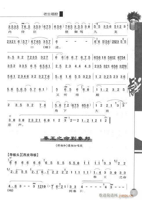 ݋21-40(V)11