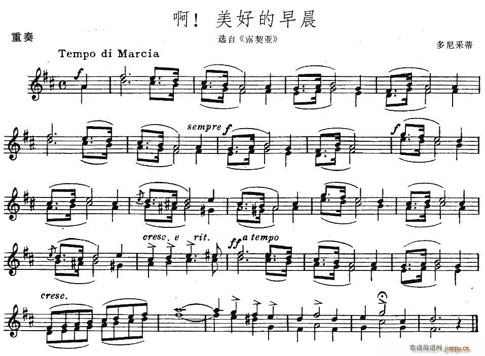 õ糿(V)1
