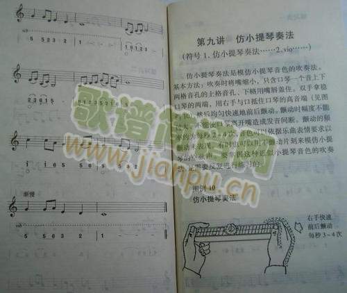 Sعǧ26-33()3