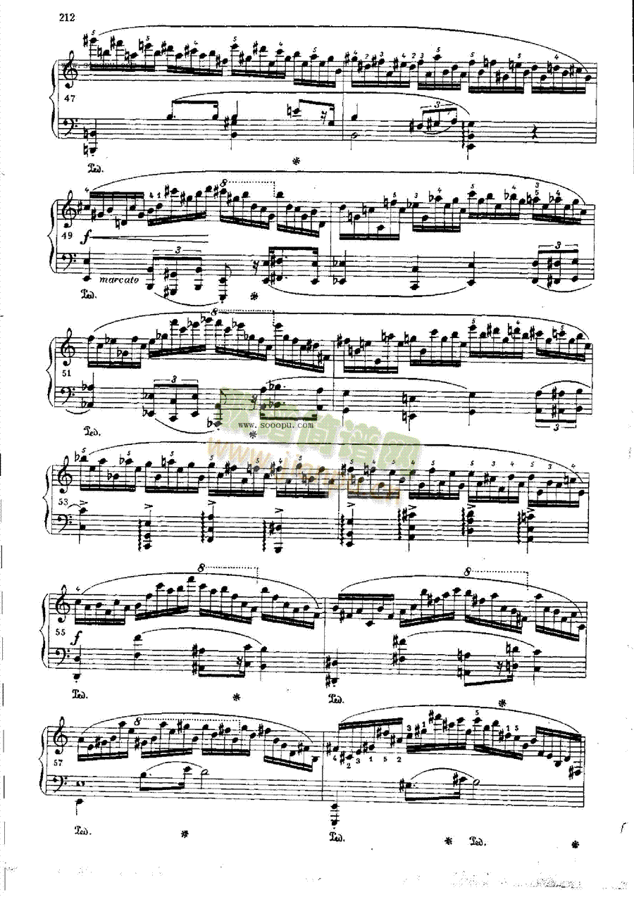 OP.25Nr11IP(pn)(li)((l )V)5