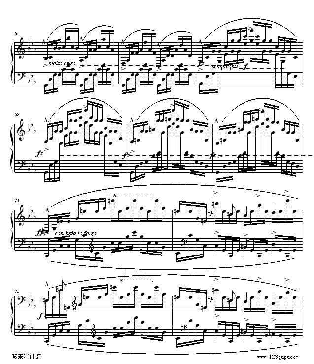 OP25No12-Ф(V)7