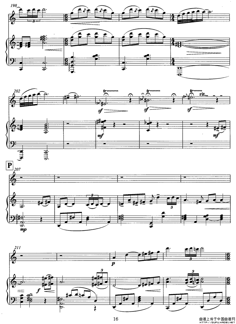 wP16(ָV)1